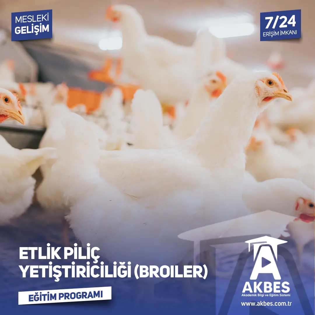 Etlik Piliç Yetiştiriciliği (Broiler) Eğitim Programı