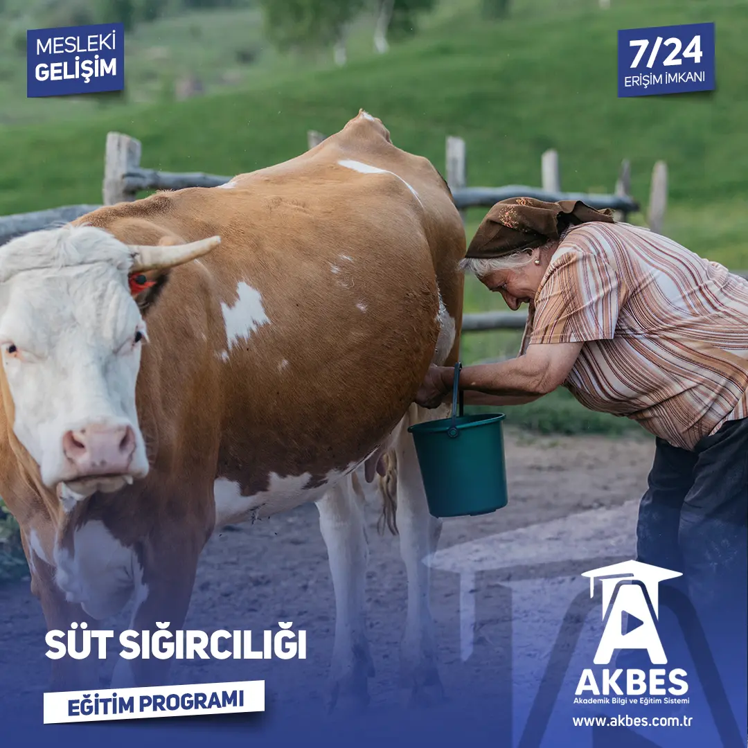 Süt Sığırcılığı Eğitim Programı